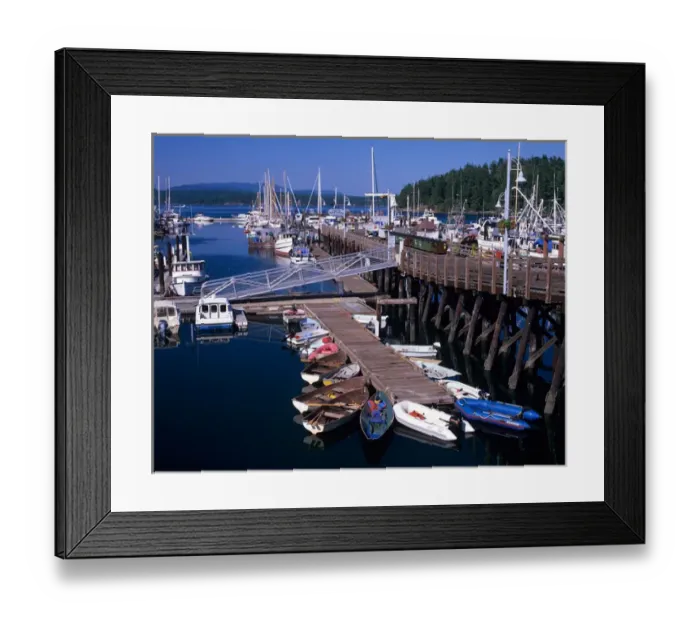 Framed Print : WA, San Juan Island, Friday Harbor Marina with boats and ferry