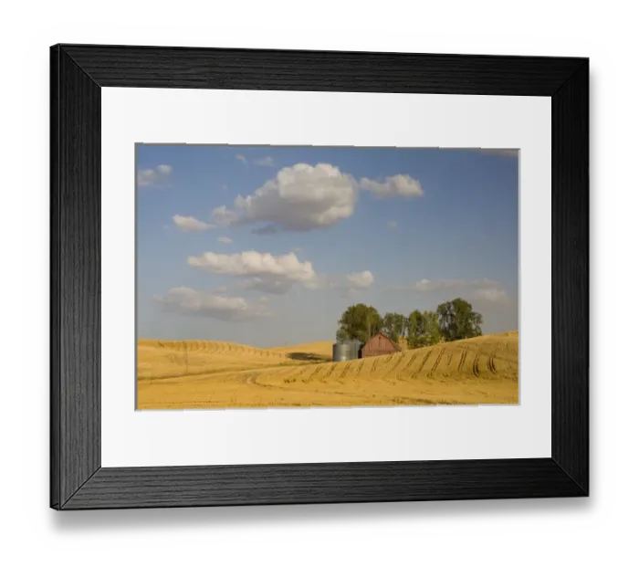 Framed Print : WA, Whitman County, The Palouse, Barn with grain silos and harvested wheat field