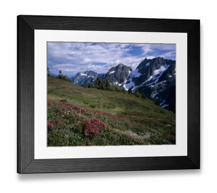 Framed Print : WA, North Cascades National Park, view from Sahale Arm above Cascade Pass Framed Print : WA, North Cascades National Park, view from Sahale Arm above Cascade Pass