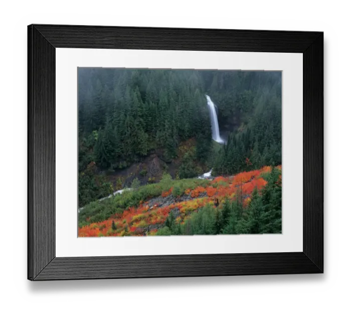 Framed Print : WA, Mt. Rainier NP, Martha Falls with fall color in Stevens Canyon
