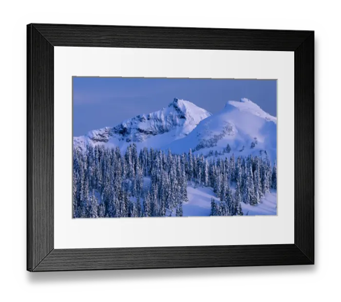 Framed Print : WA, Mt. Rainier NP, Tatoosh Range and snow covered trees