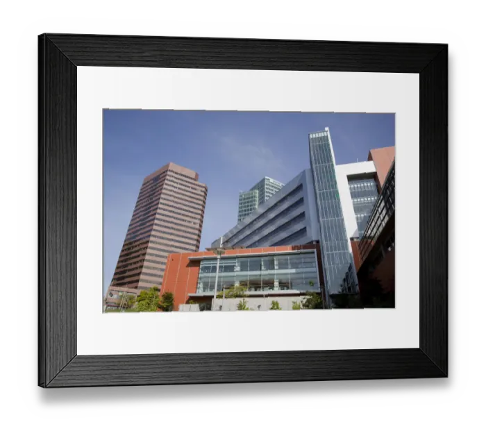 Framed Print : WA, Bellevue, Downtown Bellevue, Bellevue City Hall, with Skyline Tower and City Framed Print : WA, Bellevue, Downtown Bellevue, Bellevue City Hall, with Skyline Tower and City