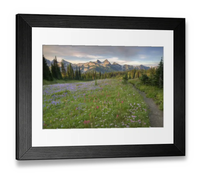 Framed Print : WA, Mt. Rainier NP, Tatoosh Range and wildflowers, view from Mazama Ridge Framed Print : WA, Mt. Rainier NP, Tatoosh Range and wildflowers, view from Mazama Ridge