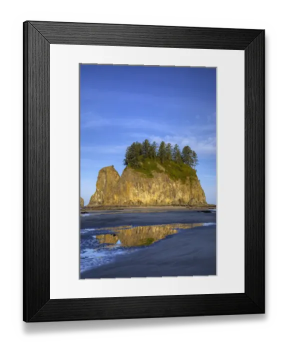 Framed Print : WA, Olympic National Park, Second Beach, Seastacks at low tide Framed Print : WA, Olympic National Park, Second Beach, Seastacks at low tide