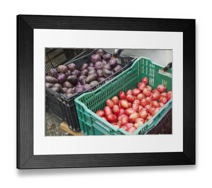 Framed Print : WA, Redmond, Redmond Farmers Market / Redmond Saturday Market Framed Print : WA, Redmond, Redmond Farmers Market / Redmond Saturday Market