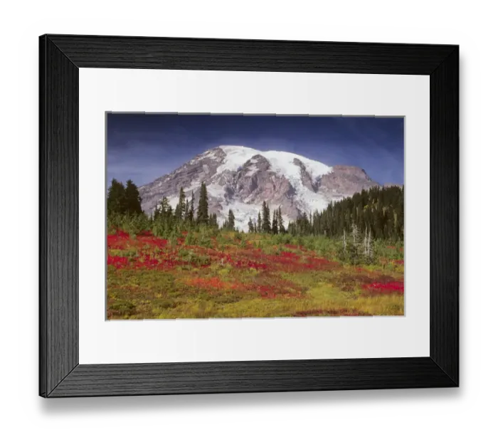 Framed Print : WA, Mount Rainier National Park, Mt. Rainier view from Paradise