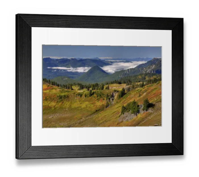 Framed Print : WA, Mt. Rainier National Park, view from Golden Gate Trail Framed Print : WA, Mt. Rainier National Park, view from Golden Gate Trail