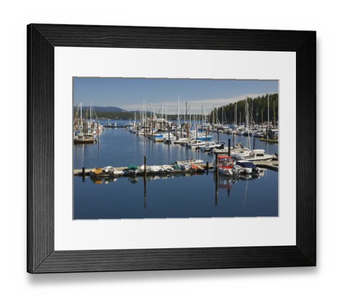 Framed Print : WA, San Juan Island, Friday Harbor, Port of Friday Harbor, marina with boats Framed Print : WA, San Juan Island, Friday Harbor, Port of Friday Harbor, marina with boats