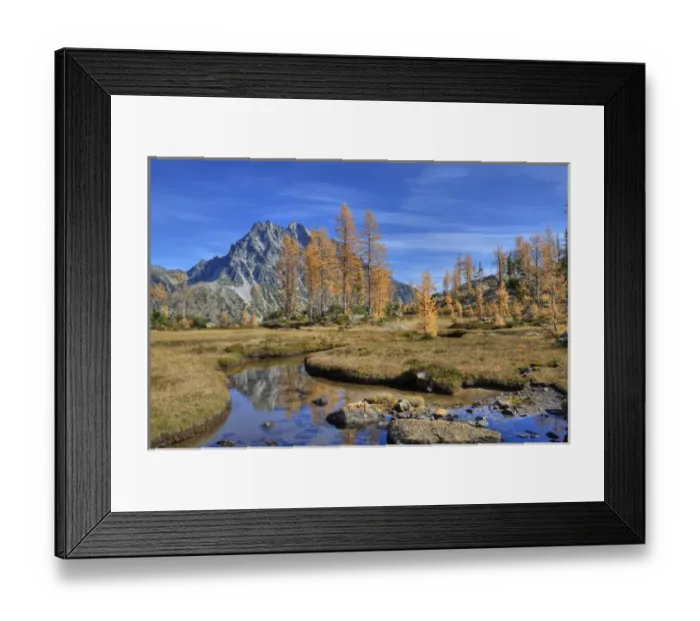 Framed Print : WA, Alpine Lakes Wilderness, Mount Stuart with golden larch trees Framed Print : WA, Alpine Lakes Wilderness, Mount Stuart with golden larch trees