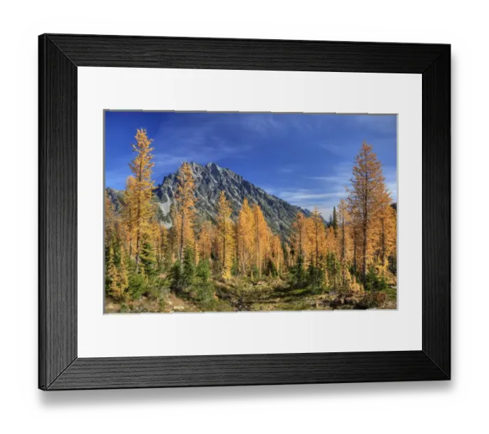 Framed Print : WA, Alpine Lakes Wilderness, Mount Stuart with golden larch trees