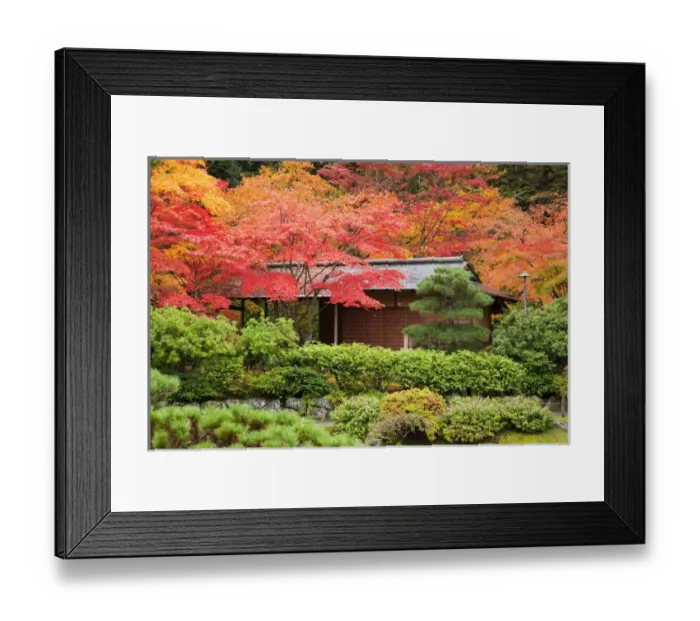 Framed Print : WA, Seattle, Washington Park Arboretum, Japanese Garden, tea house
