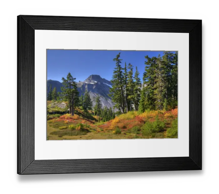 Framed Print : WA, Heather Meadows RA, meadow with Table Mountain