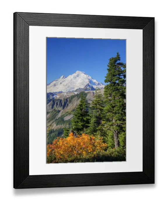Framed Print : WA, Heather Meadows RA, view of Mount Baker from Kulshan Ridge at Artists Point
