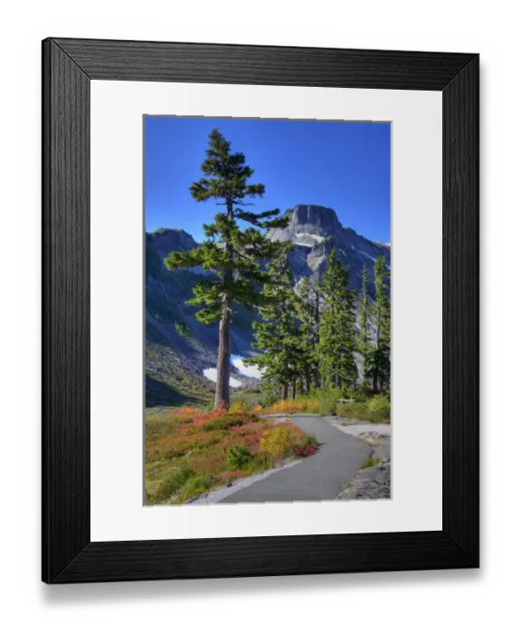 Framed Print : WA, Heather Meadows RA, meadow with trail and Table Mountain Framed Print : WA, Heather Meadows RA, meadow with trail and Table Mountain