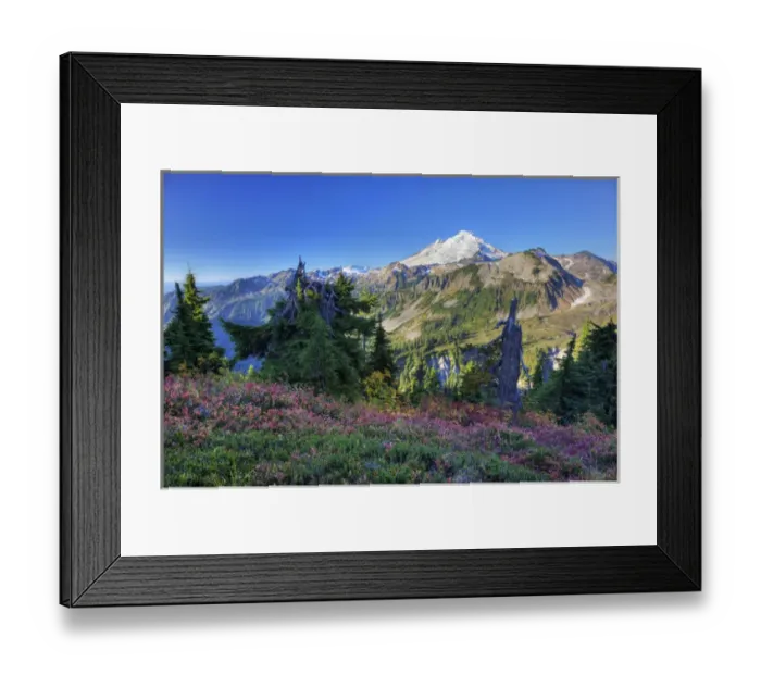 Framed Print : WA, Heather Meadows RA, view of Mount Baker from Kulshan Ridge at Artists Point Framed Print : WA, Heather Meadows RA, view of Mount Baker from Kulshan Ridge at Artists Point