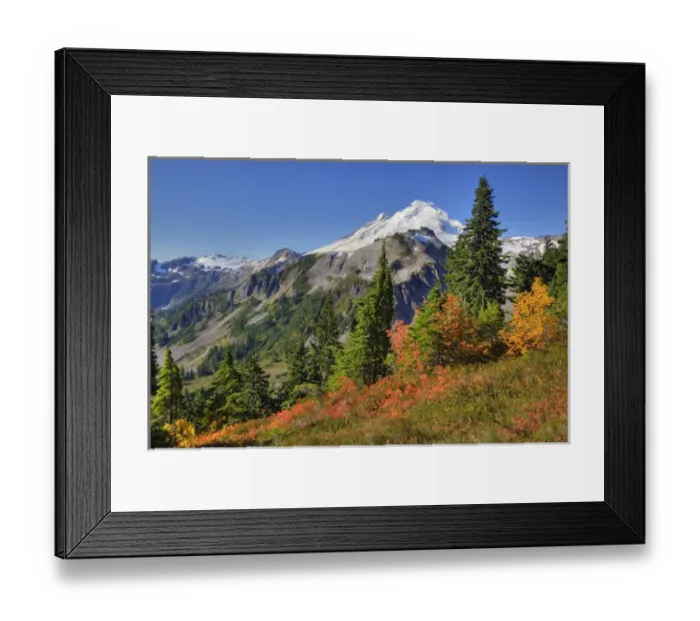 Framed Print : WA, Heather Meadows RA, view of Mount Baker from Kulshan Ridge at Artists Point Framed Print : WA, Heather Meadows RA, view of Mount Baker from Kulshan Ridge at Artists Point