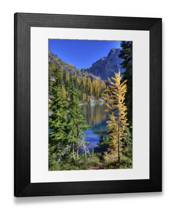 Framed Print : WA, Wenatchee NF; Blue Lake with golden larch trees