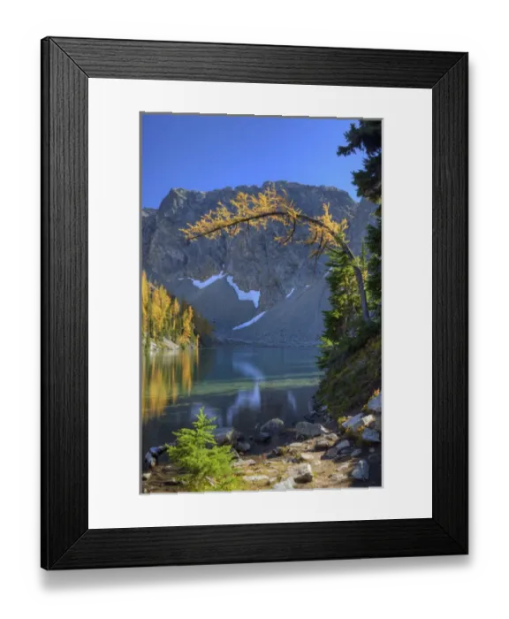 Framed Print : WA, Wenatchee NF; Blue Lake with golden larch trees Framed Print : WA, Wenatchee NF; Blue Lake with golden larch trees