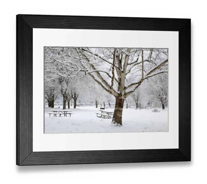 Framed Print : WA, Issaquah, Lake Sammamish State Park Framed Print : WA, Issaquah, Lake Sammamish State Park