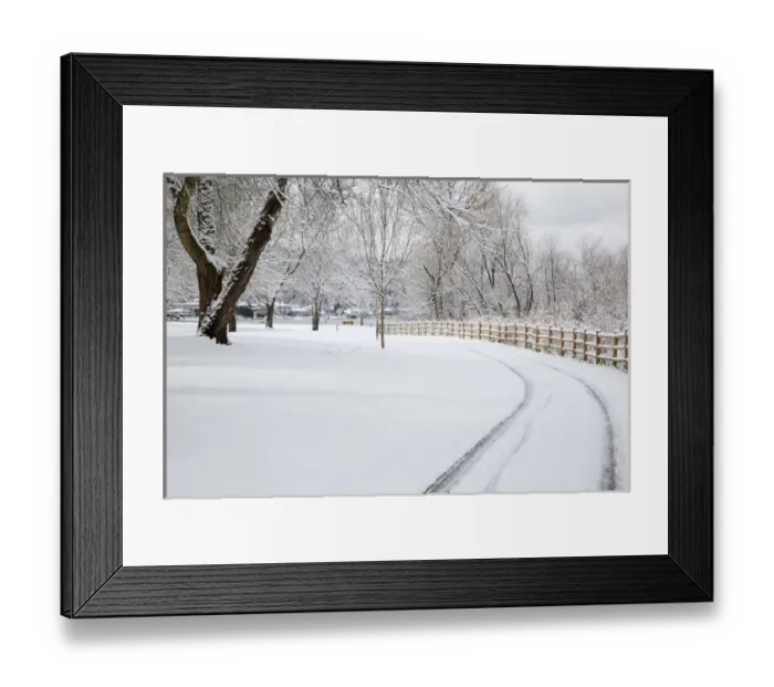 Framed Print : WA, Issaquah, Lake Sammamish State Park Framed Print : WA, Issaquah, Lake Sammamish State Park