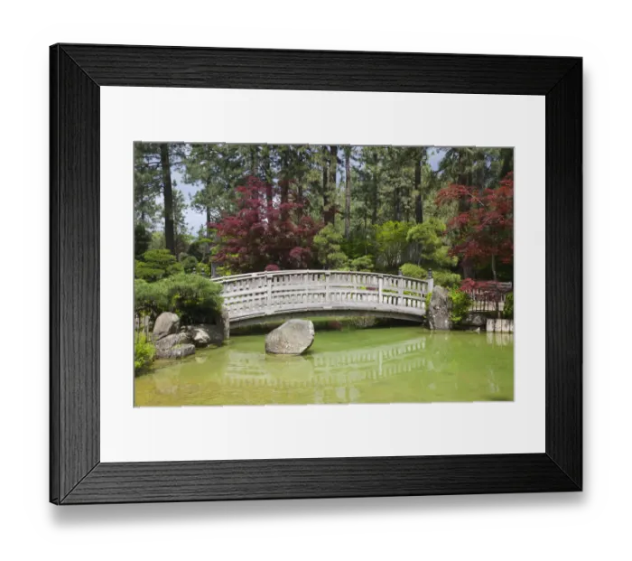 Framed Print : WA, Spokane, Manito Park, Nishinomiya Japanese Garden