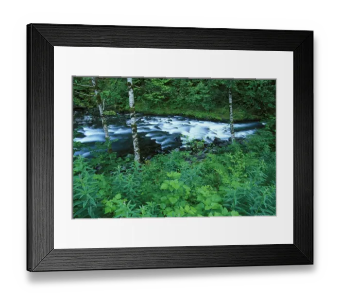 Framed Print : N. A. USA, Washington, Olympic National Park Mountain Stream Framed Print : N. A. USA, Washington, Olympic National Park Mountain Stream