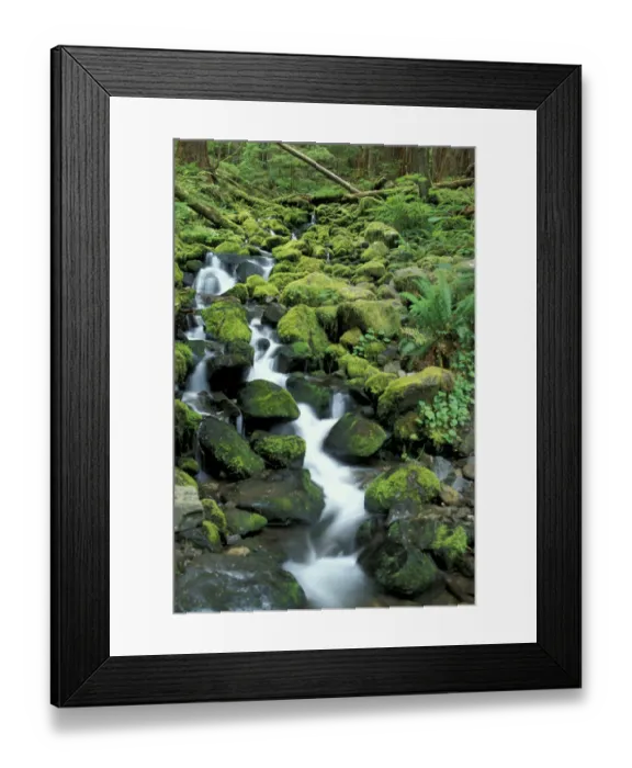Framed Print : USA, WA, Olympic NP. Cascading stream on Sol Duc Falls Trail Framed Print : USA, WA, Olympic NP. Cascading stream on Sol Duc Falls Trail