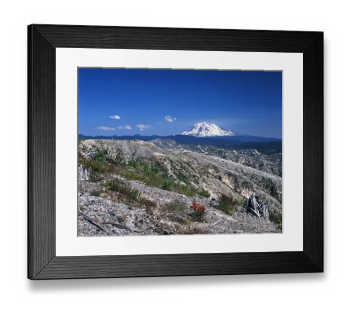 Framed Print : USA, Washington State, View of Mt Adams from the windy ridge area of Mt. St Helens Framed Print : USA, Washington State, View of Mt Adams from the windy ridge area of Mt. St Helens
