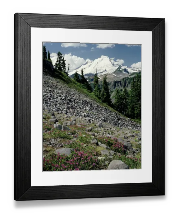 Framed Print : A Beautiful alpine day with Mount Baker towering above, cumulus clouds floating in the sky Framed Print : A Beautiful alpine day with Mount Baker towering above, cumulus clouds floating in the sky