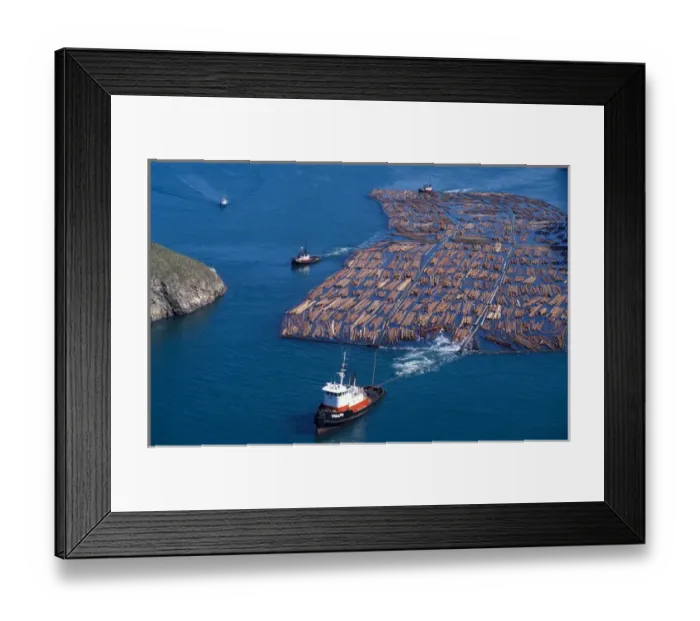 Framed Print : NA, USA, Washington, Whidbey Island, Tug towing log boom through Deception Pass