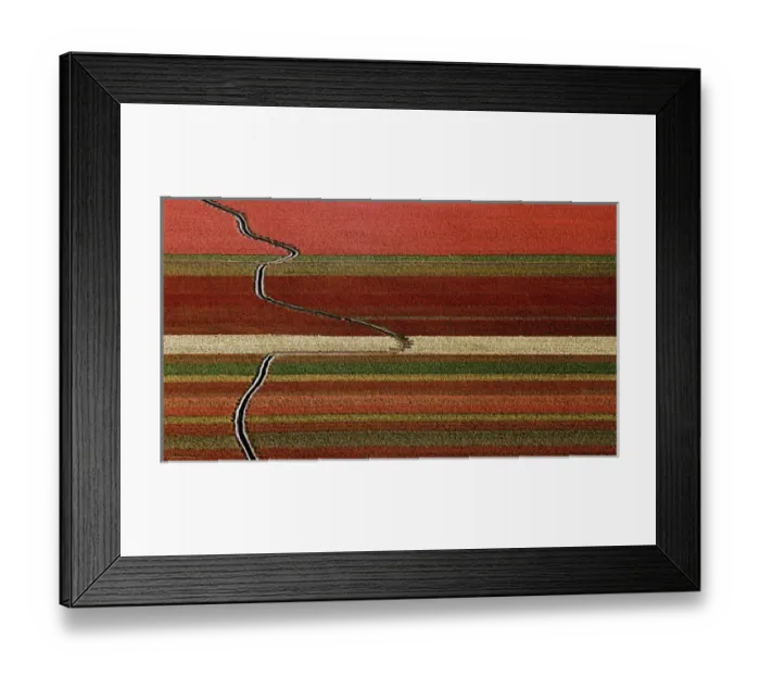 Framed Print : An abstract aerial view of tulip fields with a drainage ditch crossing the rows