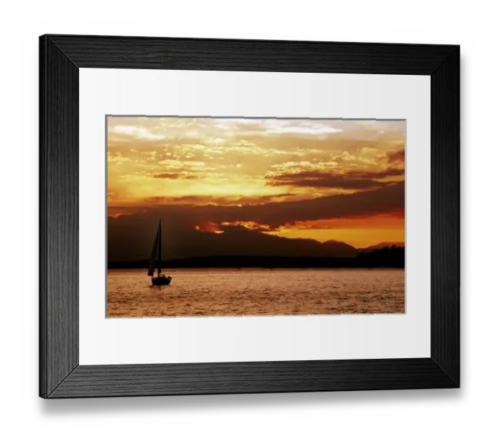 Framed Print : A sailboat sails into the setting sun on Seattles Elliot Bay Framed Print : A sailboat sails into the setting sun on Seattles Elliot Bay