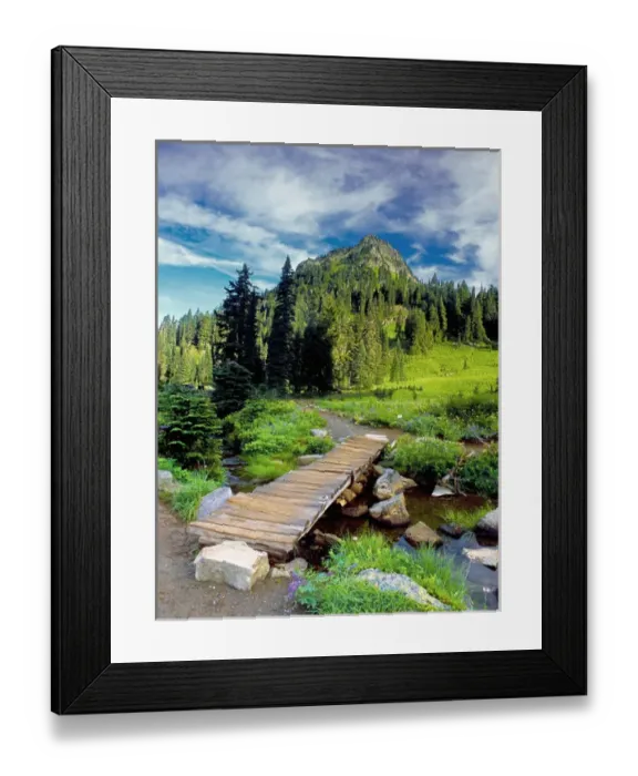 Framed Print : USA, Washington, Mt. Rainier National Park Framed Print : USA, Washington, Mt. Rainier National Park