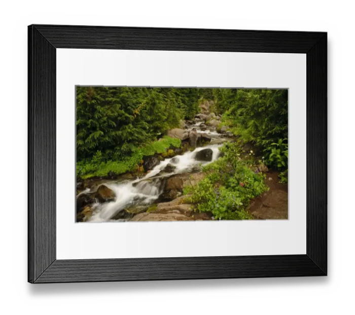 Framed Print : USA, Washington, Mt. Rainier. Summer wildflowers bloom along Paradise Creek in Mt