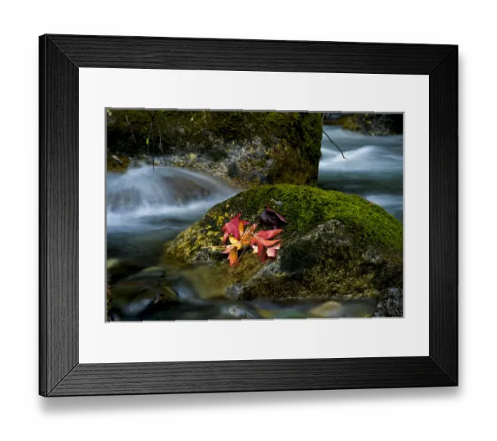 Framed Print : USA, Washington. Fall along the Mountain Loop Highway, north of Seattle Framed Print : USA, Washington. Fall along the Mountain Loop Highway, north of Seattle