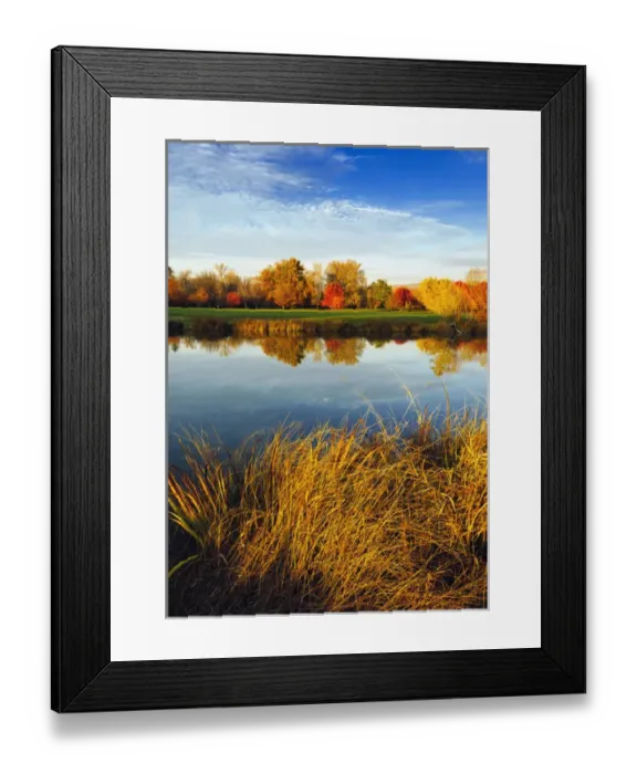 Framed Print : USA, Washington, Yakima. Fall color and reflection in the Yakima Arboretum