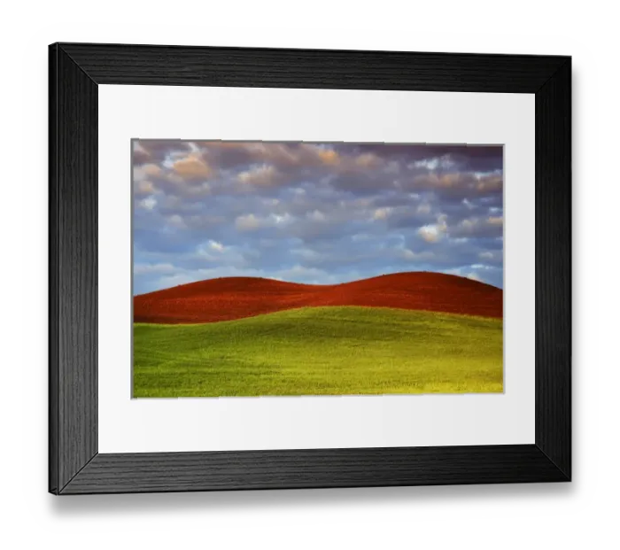 Framed Print : USA, Washington, The Palouse
