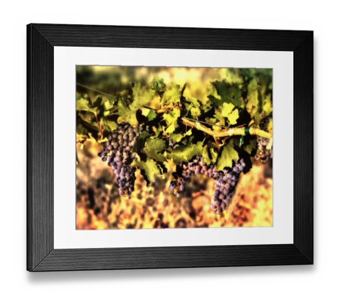 Framed Print : USA, Northwest, Eastern Washington Framed Print : USA, Northwest, Eastern Washington