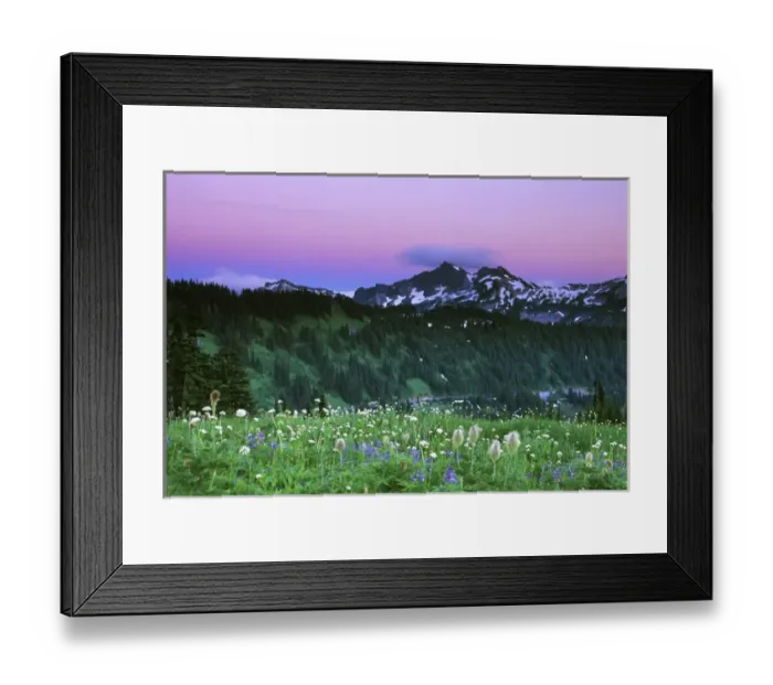 Framed Print : USA, WA, Mt. Rainier NP, Paradise Twilight Framed Print : USA, WA, Mt. Rainier NP, Paradise Twilight