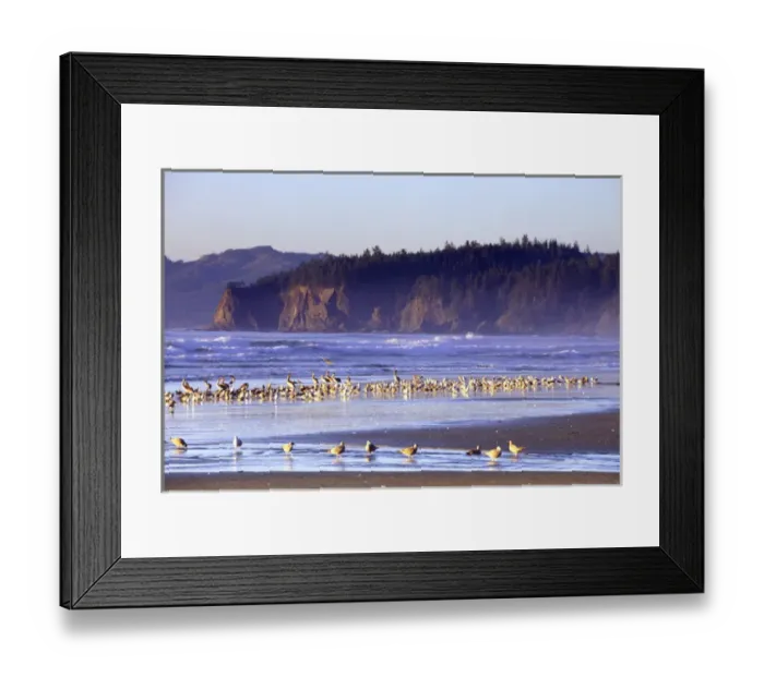 Framed Print : N. A. USA, Washington, Olympic NP, Shishi Beach Framed Print : N. A. USA, Washington, Olympic NP, Shishi Beach