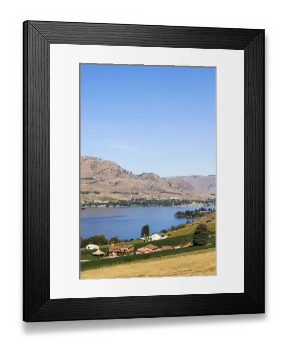 Framed Print : NA; USA; Washington; Vineyard on Lake Chelan Framed Print : NA; USA; Washington; Vineyard on Lake Chelan
