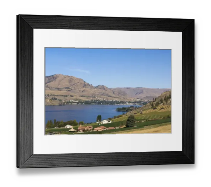 Framed Print : NA; USA; Washington; Vineyard on Lake Chelan Framed Print : NA; USA; Washington; Vineyard on Lake Chelan
