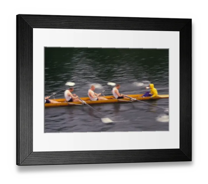 Framed Print : North America, USA, Washington, Seattle, Montlake Cut near University of WA, teamwork Framed Print : North America, USA, Washington, Seattle, Montlake Cut near University of WA, teamwork