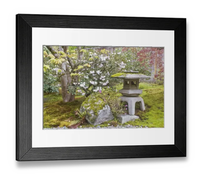 Framed Print : USA, WA, Seattle, Arboretum, Japanese Garden