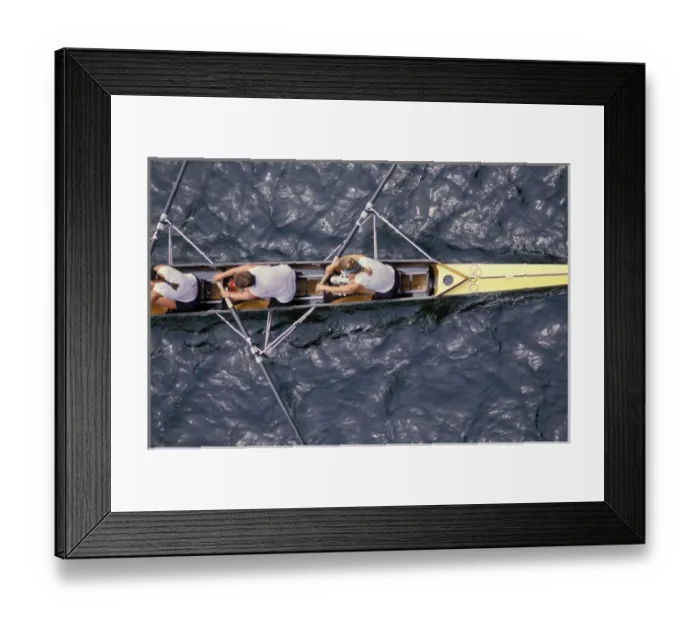 Framed Print : North America, USA, Washington, Seattle, Crew race, rowing shell from above
