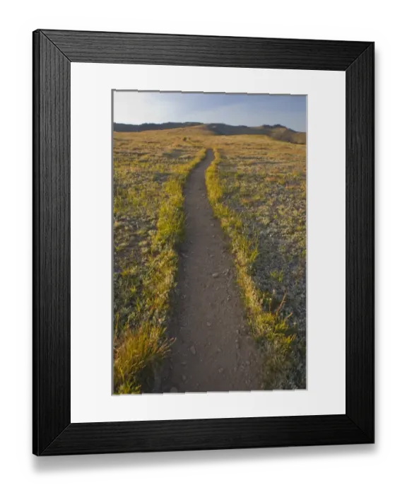 Framed Print : Obstruction Point. Olympic National Park, Washington, US Framed Print : Obstruction Point. Olympic National Park, Washington, US