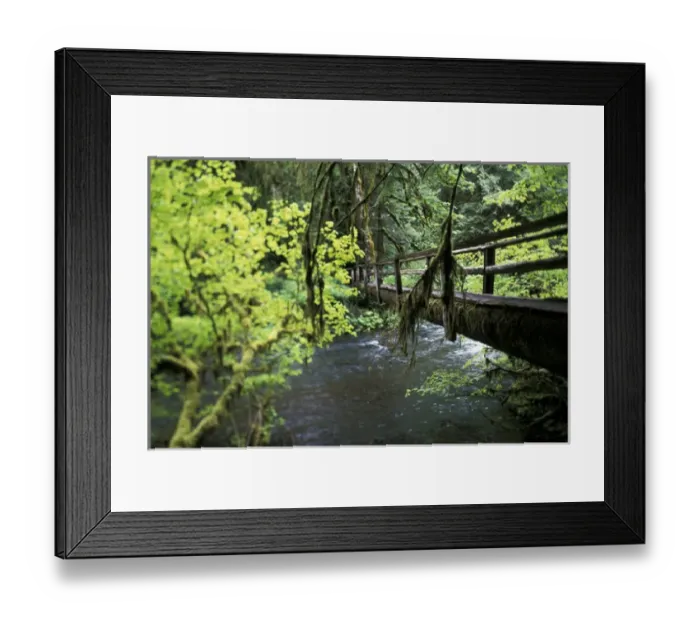 Framed Print : USA, Washington, Olympic NP Sol Duc Creek in old growth rainforest
