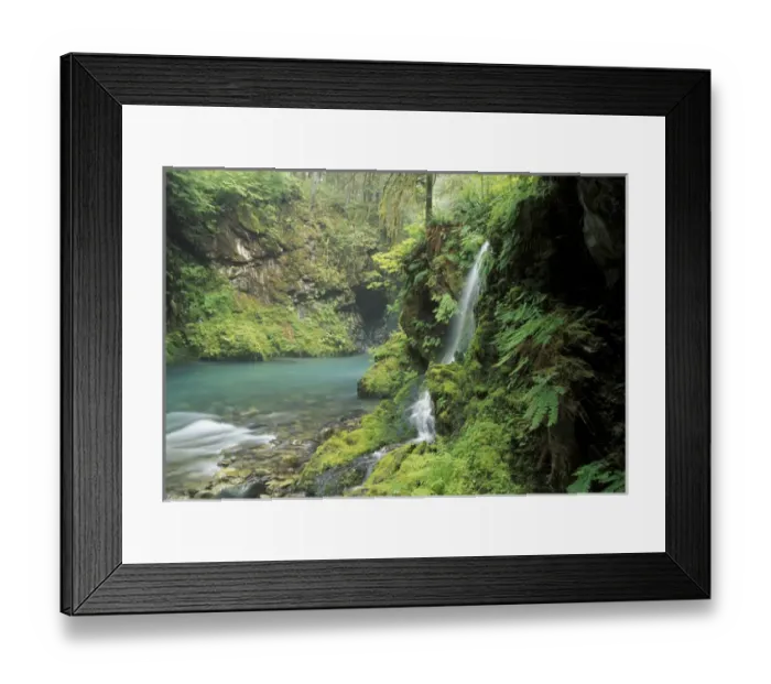 Framed Print : North America, USA, Washington, Olympic NP seasonal waterfall near Graves Creek