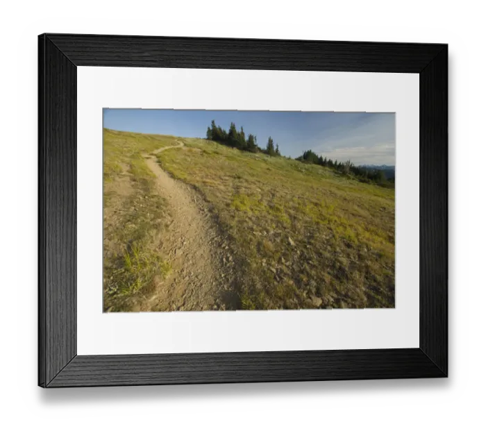 Framed Print : Obstruction Point. Olympic National Park, Washington, US Framed Print : Obstruction Point. Olympic National Park, Washington, US