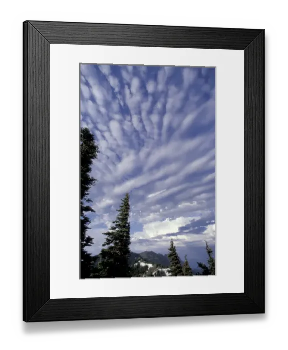 Framed Print : USA, Washington, Olympic NP Afternoon clouds atop Hurricane Ridge Framed Print : USA, Washington, Olympic NP Afternoon clouds atop Hurricane Ridge